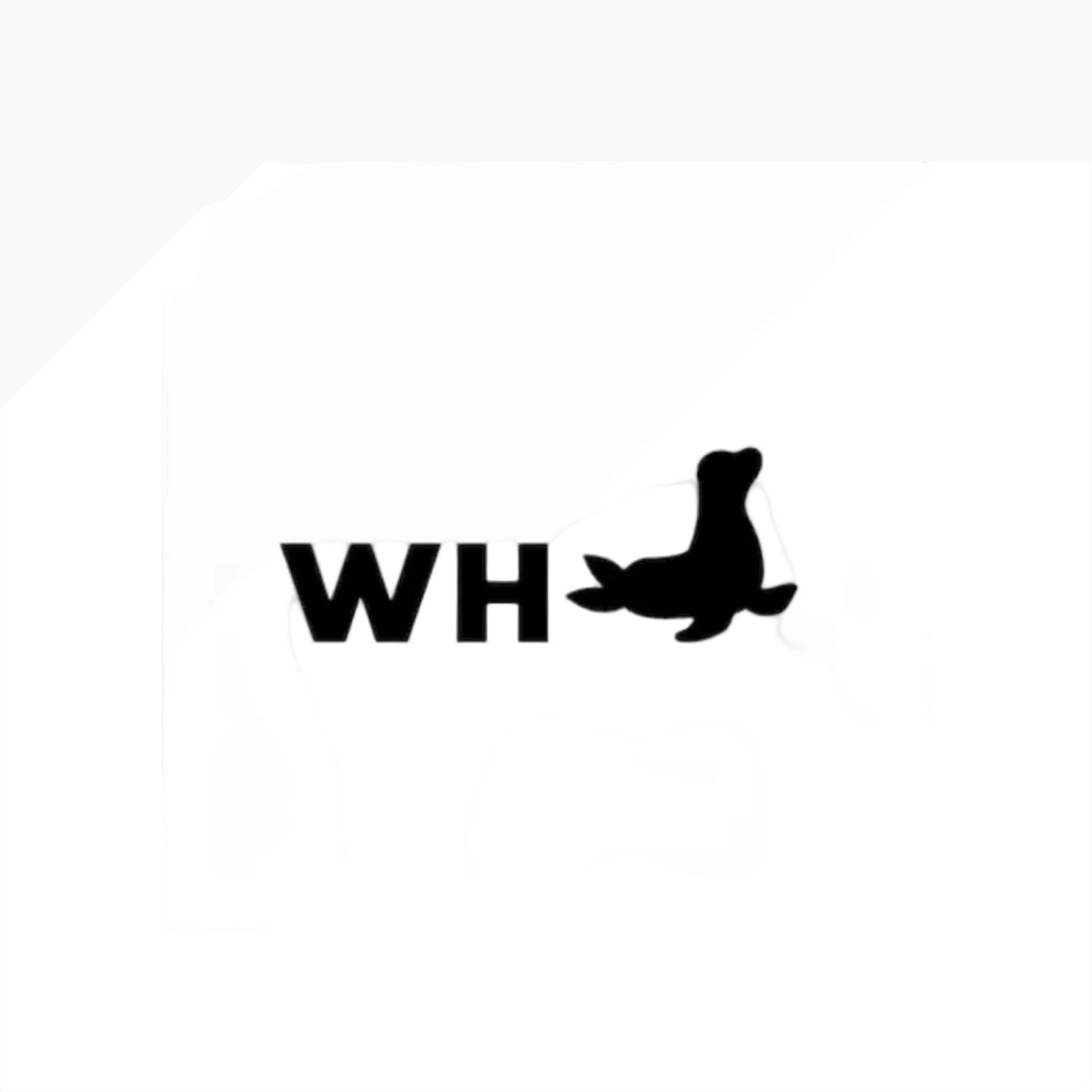 Set of black ankle socks with brand logo on a white background