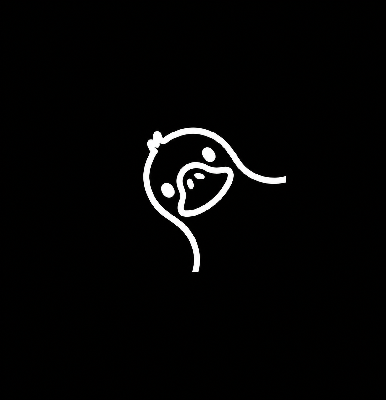 Duck - Clothing